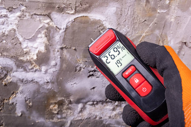 Best Office Mold Removal Services  in Wilmore, KY